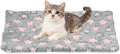 Dog Cat Bed Mat, Soft Coral Fleece Pet Cushion Pad with Cute Star Print, Warm Washable Pet Bed 23x18 Inches, (Gray Pink), Intended for Medium Small Dog Cat