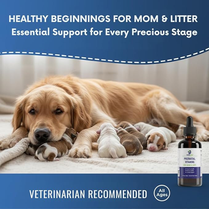Liquid Prenatal Vitamins for Dogs & Cats - Folic Acid, Calcium & Iron Drops - Essential Support for Dog Pregnacy, Breeding & Lactation - Healthy Litter Growth - Beef Flavor, 60 ml