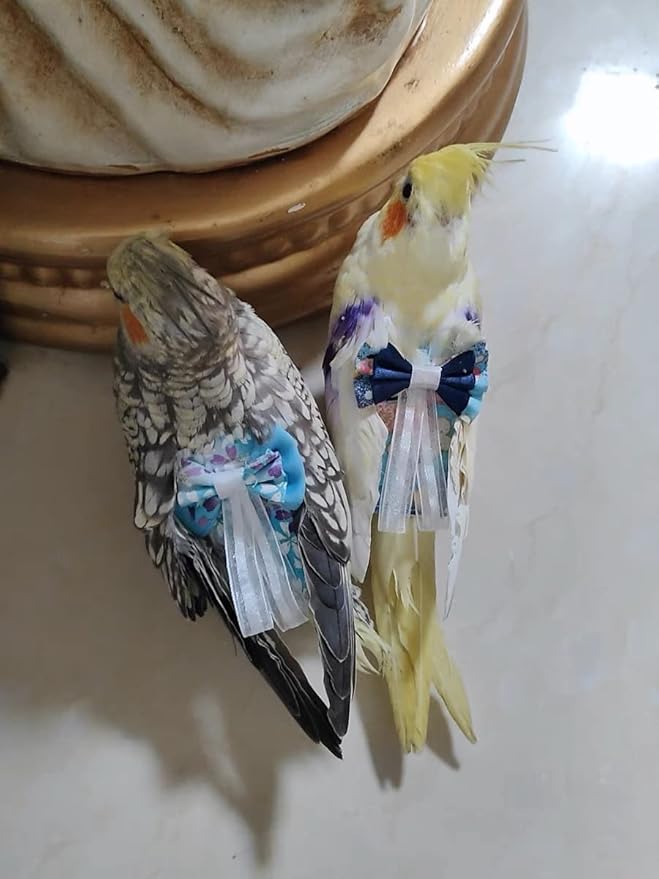 Bird Flight Suits Diapers, Parrot Diapers for Monk Parakeets, Cockatiels, Parrot Clothes Costume, Bird Training Nappy Suit Liners Clothes (Small,Blue-C)
