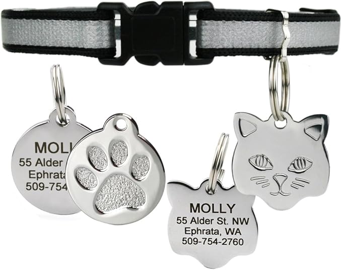 GoTags Reflective Cat Collar with Personalized ID Tag in Stainless Steel, Breakaway Cat Collar with Bell and Custom Engraved Cat Tag with up to 4 Lines of Custom Text, (Black)