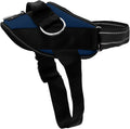 ShawnCo Essential Dog Harness, No-Pull Pet Vest with 3 Leash Clips, No Choke, Reflective, Adjustable and Padded, for Easy Walking and Training for Small, Medium and Large Dogs (Pacific Blue, L)