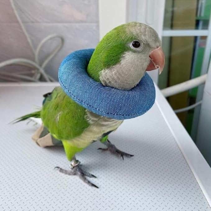 Parrot Neck Collar Pet Anti-bite Picking Feather Healing Protective Neck Cover Collar for Birds Conures Cockatiels Lovebirds Budgies Cockatoos African Grey Random Color (2M)