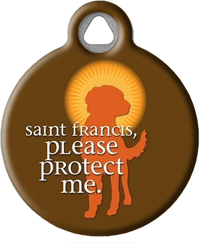 Dog Tag Art Religious Custom Pet ID Tag for Dogs and Cats, Personalized Dog Tag with Customized Identification Information, Saint Francis Protect Me, Large (1.25" Diameter)