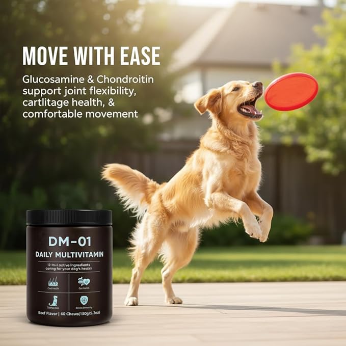 DM-01 Daily Multivitamin, Multivitamin Itch Relief Chews for Dog, with Folic Acid, Salmon Oil, Chondroitin & Natural Vitamins, Skin and Coat Healthy, Digestive & Boost Immunity, 60 Chew (Beef)