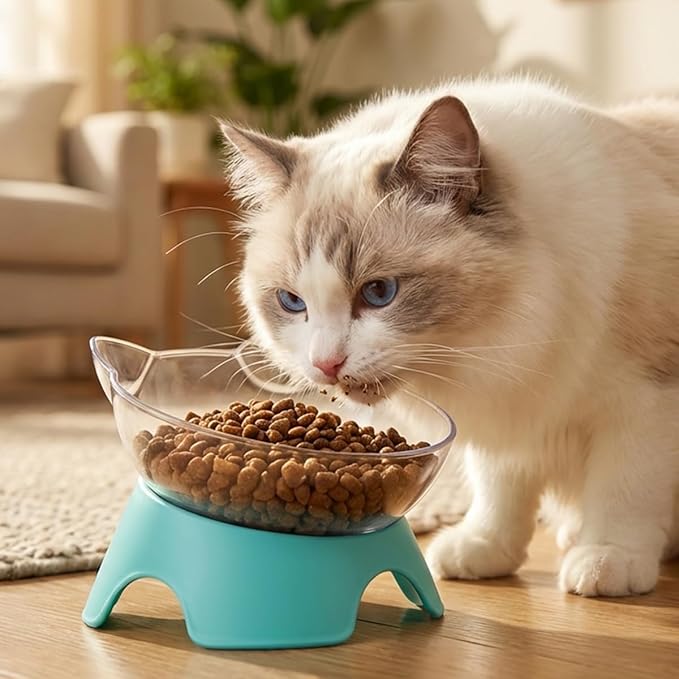 MILIFUN Raised Cat Food Bowls with Stand, Cat Dishes for Food or Water, Cats Tilted Bowl, Pet Dish with Stand (Blue Double Bowl)
