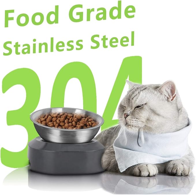 AYADA Raised Cat Food Bowl, Stainless Steel Cat Dish for Dry Wet Food Water, Anti Vomiting Elevated with Stand Ergonomic Lifted Slanted Tilted 15 Angle Metal Single Kitty Kitten Pet Bowl (Single)