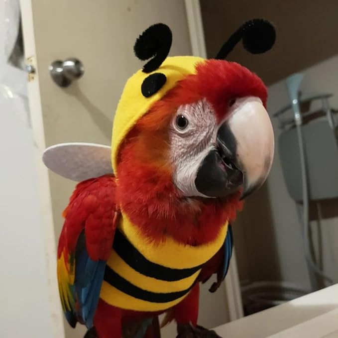 Bird Costume Bird Diaper Flight Suit Bird Bee Shape Bird Clothes Cosplay Photo Prop for Parrots Lovebird Budgie Parakeet Cockatiel (Sulphur-Crested Cockatoo)