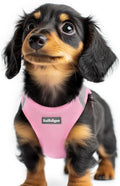 rabbitgoo Small Dog Harness, Step-in Soft Mesh Puppy Vest with Safety Buckle, Breathable Reflective Pet Harness for Extra Small Dogs, Pink & Gray XXS