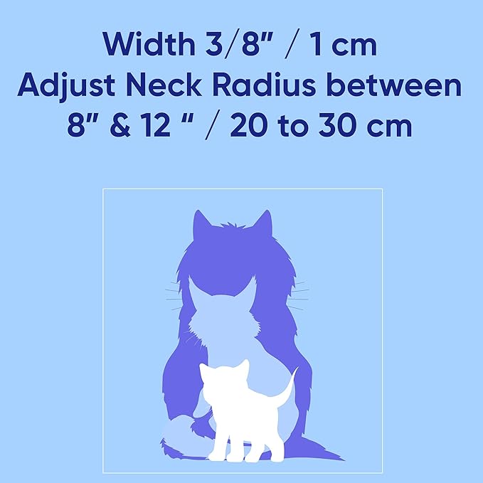 Pawtitas Reflective Teal Cat Collar with Safety Buckle and Removable Bell for Kitten and Cats