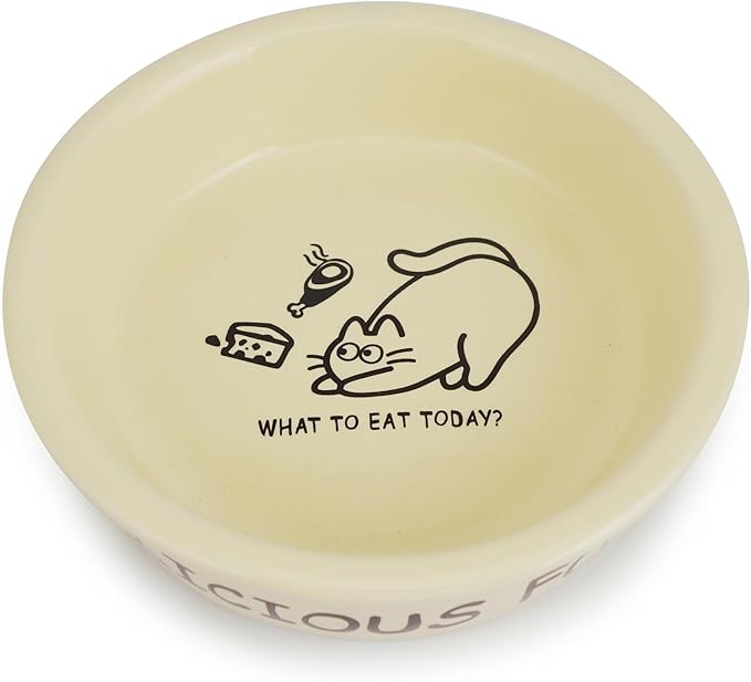 TTcat Ceramic Cat Feeder, 5.1in Shallow Design Food Bowl, Small Pet Dishes for Cats, Kitten, Dishwasher Safe