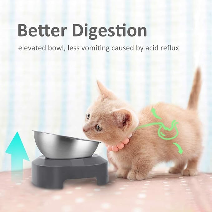 AYADA Raised Cat Food Bowl, Stainless Steel Cat Dish for Dry Wet Food Water, Anti Vomiting Elevated with Stand Ergonomic Lifted Slanted Tilted 15 Angle Metal Single Kitty Kitten Pet Bowl (Single)