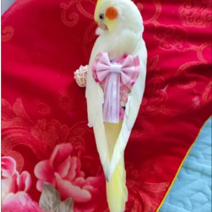 Bird Diaper Cockatiel Clothes Flight Suite, Reusable Parrot Nappy with Waterproof Inner Layer, Cute Pigeon Pants Urine Wet Suit Costume for Conure Macaw (Pink,M)