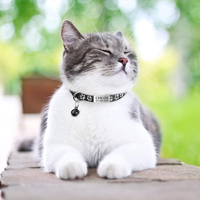 TagME 2 Pack Cat Collar with Name Tag, Personalized Reflective Cat Collar Breakaway with Bell for Boy & Girl Cats, Black