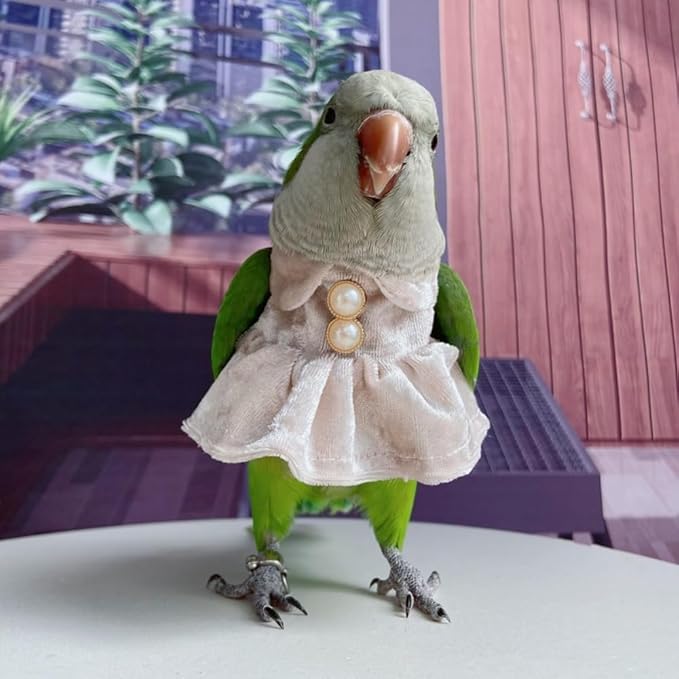 Bird Costume Bird Diaper Flight Suit Parrot Velvet Fleece Skirt Clothes Cosplay Photo Prop for Conure Lovebird Parakeet Cockatiel Macaw Small Animals Apparel (White,Large)