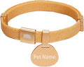 ZQGJ-Minimalist Stretch Lightweight Custom Engraved Cat Collar with Name Tag Personalized Cat Collars for Kitten Boy & Girl Cats (Champagne Gold, Collar with ID Tag)