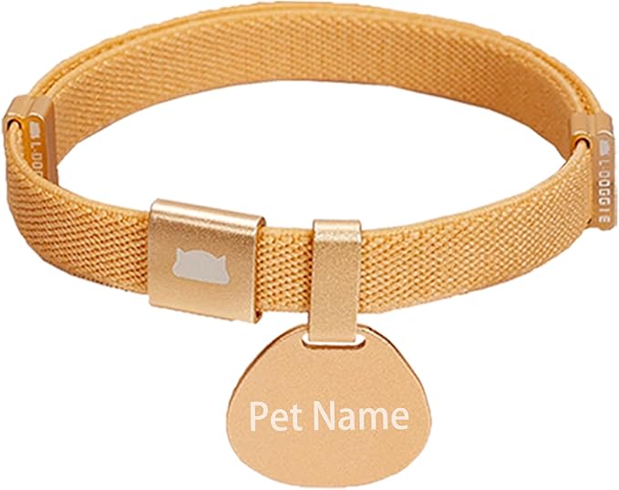 ZQGJ-Minimalist Stretch Lightweight Custom Engraved Cat Collar with Name Tag Personalized Cat Collars for Kitten Boy & Girl Cats (Champagne Gold, Collar with ID Tag)