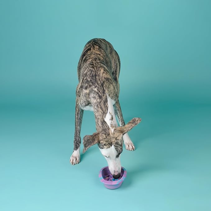 CHEWFFON Interactive Dog & Cat Lick Mat Bowls, BPA-Free Silicone Dog Slow Feeder with Suction Cups, Non Slip Food Bowl for Dogs and Cats, Reduce Anxiety, Dishwasher Safe, Lavender Purple Small