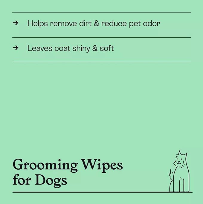 Kindfull Dog Grooming Wipes – 3 Pack (180 Total), Botanical Mint Scent – Gentle, pH-Balanced Pet Wipes for Paws & Fur – Plant-Based, Alcohol-Free – 7.9" x 7.7" Each