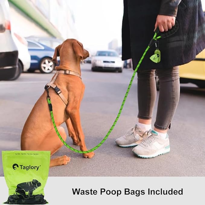 Taglory Rope Dog Leash 4 FT with Comfortable Padded Handle, Highly Reflective Threads Leash and Anti-Tangle Clip for Walking Small Dogs, 3/8 inch, Green