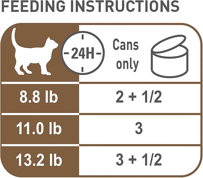 Royal Canin Feline Health Nutrition Aging 12+ Senior Thin Slices in Gravy Cat Food, 3 oz (Pack of 6)