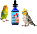 Morning Bird Milk Thistle & Dandelion Extract 1 fl oz – Organic Herbal Supplement for Birds – Supports Liver Health & Natural Detox – Suitable for All Bird Species