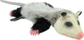 Hyper Pet Real Skinz Opossum Plush Dog Toy