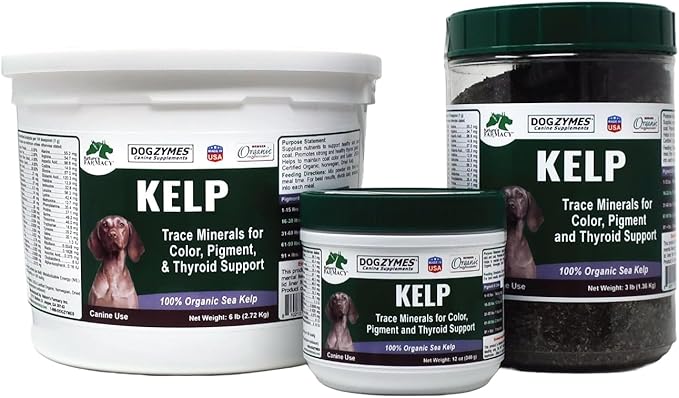 Dogzymes Organic Norwegian Kelp for Pets, a Valuable Nutrition Source Rich in Iodine to Support Gland Function, Especially The Thyroid (12 Ounce)