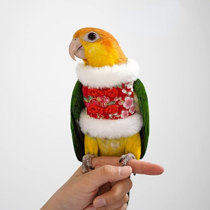 Bird Flight Suit & Clothes Cosplay Photo Prop for Parrots, Parakeet, Cockatiel & Sun Conure - Bird Hoodie for Small Animals (Red, X-Large)