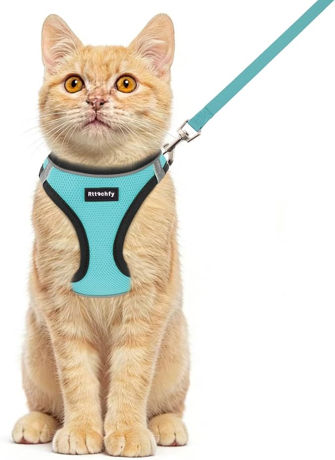 Rttochfy Cat Harness and Leash Set, Escape Proof Kitten Harness, Soft and Breathable Vest with Reflective Strip, Easy to Wear for Cats Walking and Traveling (BK Cyan, L)