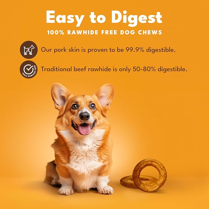 Pork Chomps Roasted Pork Skin Dog Chew, 6 Inch Bagel, 1 Count - Long-Lasting Treats for Dogs - High Protein, Rawhide-Free, Low Fat, Healthy & Delicious Chews