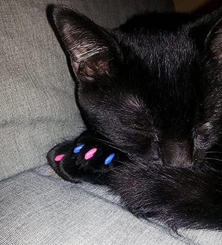 40 Pack Soft Nail Caps for Cat Claws Clear Kitten