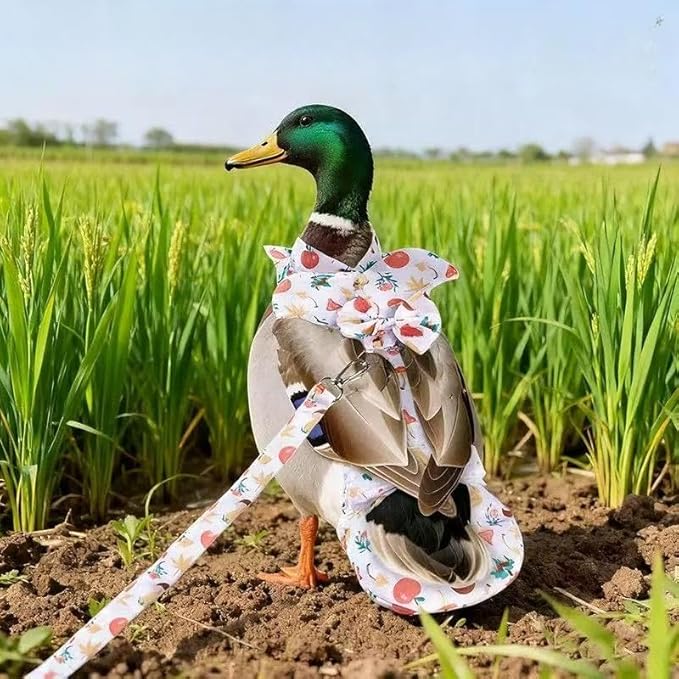 Chicken Diapers for Hens, Roosters, Diapers for Ducks with Walking Leash, Reusable Pet Duck Diapers Chick Clothes Waterproof Poultry Nappies for Geese Pet Ducks Chicken-Mushroom, S