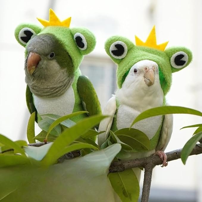 Bird Costume Diaper Flight Suit Frog Shape Hoodie Clothes Cosplay Photo Prop for Parrots Parakeet Cockatiel Sun Conure, Small Animals Apparel (Pink Without Diaper, Small), Green
