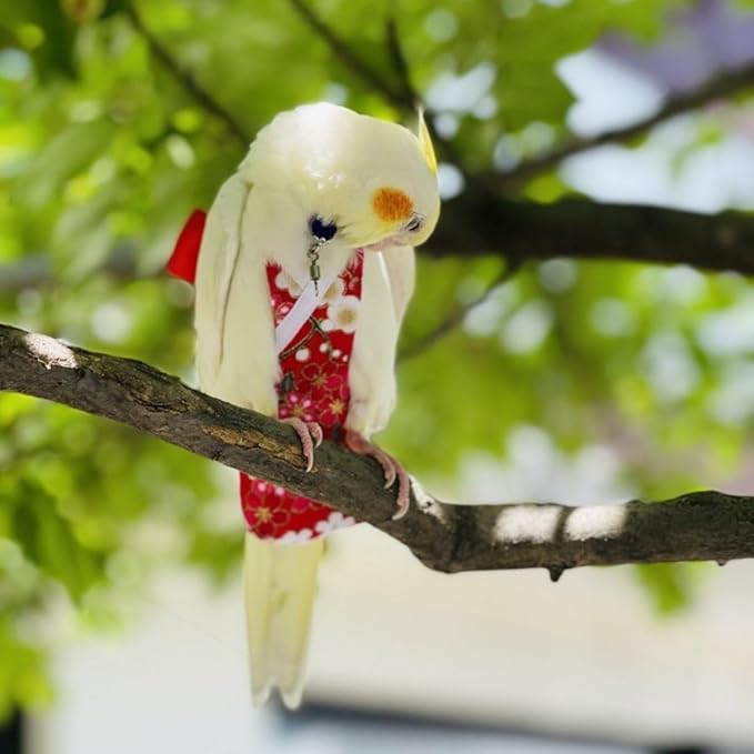 Bird Diaper Cockatiel Clothes Flight Suite, Reusable Parrot Nappy with Waterproof Inner Layer, Cute Pigeon Pants Urine Wet Suit Costume for Conure Macaw (Pink,L)
