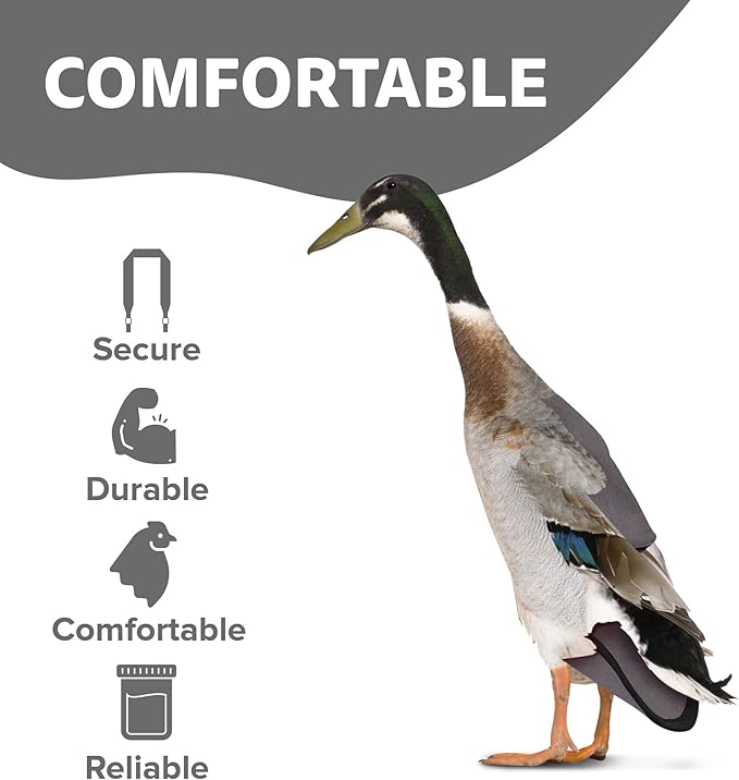 Hen Holster Starter Kit - Wrap-Around Runner Duck Diaper w/ Removable Liner & Fixed Tab - Durable, Secure Fit, Easy-to-Wear - Essential Duck Supplies for Real Ducks, Made in USA - Gray