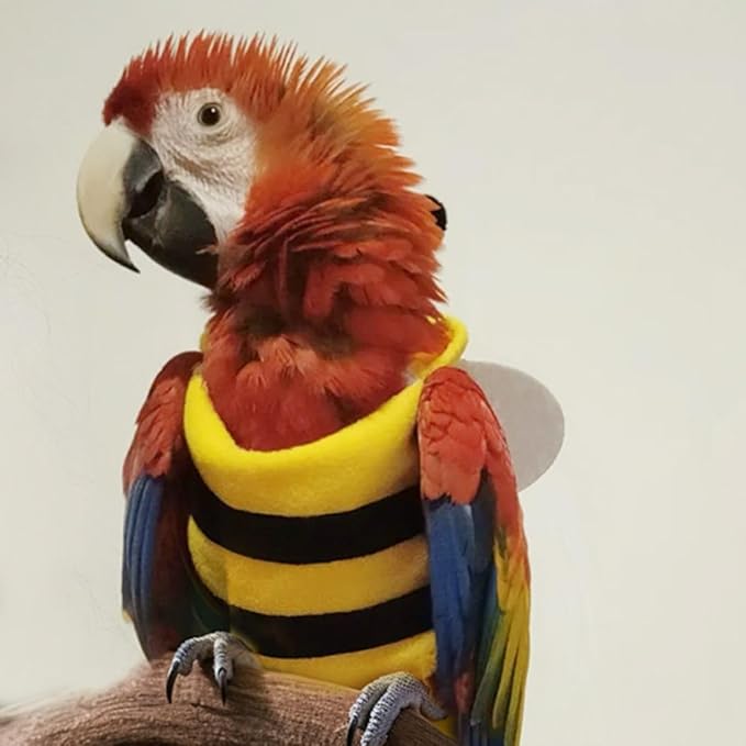 Bird Costume Bird Diaper Flight Suit Bird Bee Shape Bird Clothes Cosplay Photo Prop for Parrots Lovebird Budgie Parakeet Cockatiel (XL)