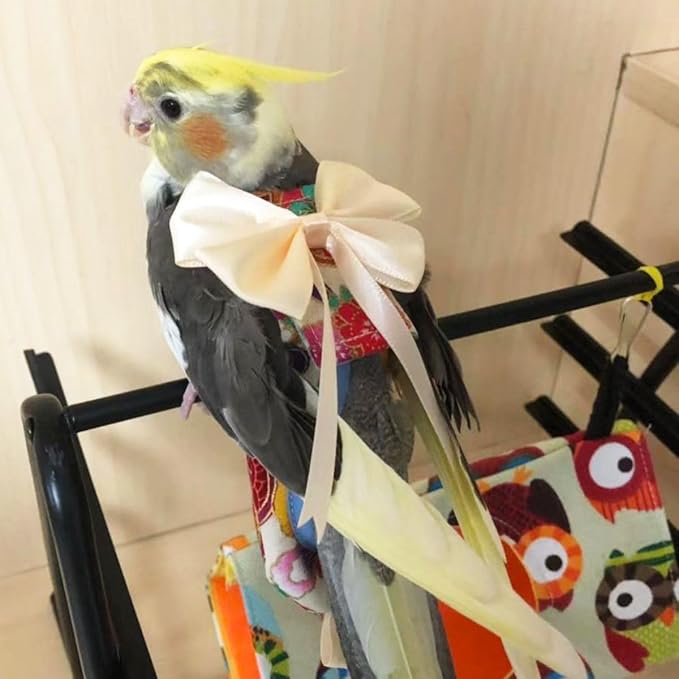 Bird Flight Suits Diapers, Parrot Flight Suits Diapers for Quaker Parakeets Cockatiels Flight Suits, Parrot Clothes (Almond A,M)