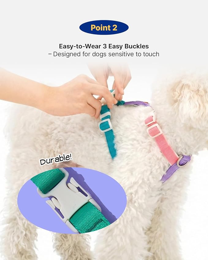 PETHROOM × Wiggle Wiggle Smile We Love Harness Set – Cute Dog Harness with Matching Leash & Backpack, Comfortable Walk & Travel Gear for Small to Medium Dogs, Small