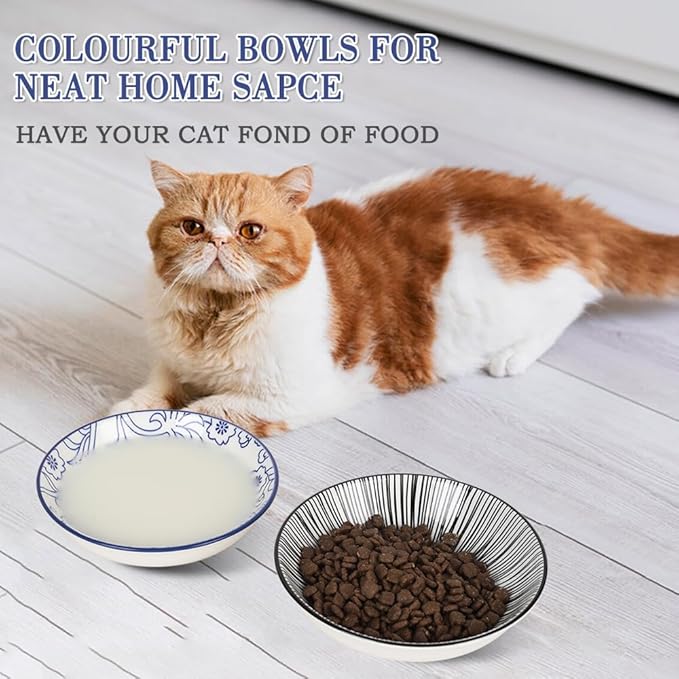 HAPPY KIT 2pcs Ceramic Cat Food Bowls for Indoor Cats Set,5.7 inch Colorful Cute Feeding Plate with Non Slip Mat,8.5oz Cat Dish/Dishes,Wide Shallow Bowl Whisker Friendl
