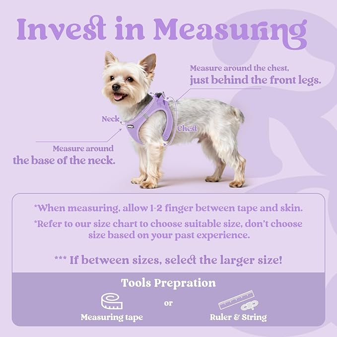 rabbitgoo Small Dog Harness, Step-in Soft Mesh Puppy Vest with Safety Buckle, Breathable Reflective Pet Harness for Small Sized Dogs, Light Purple M