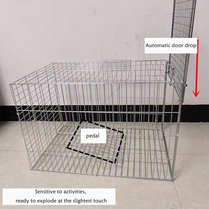 Pigeon Cage,One Way Entry Pigeon Trap, Portable and Easy to Assemble Outdoor Bird Cage with Escape Proof Design Spacious Bird Cage Pigeon Cage Suitable for Parrots