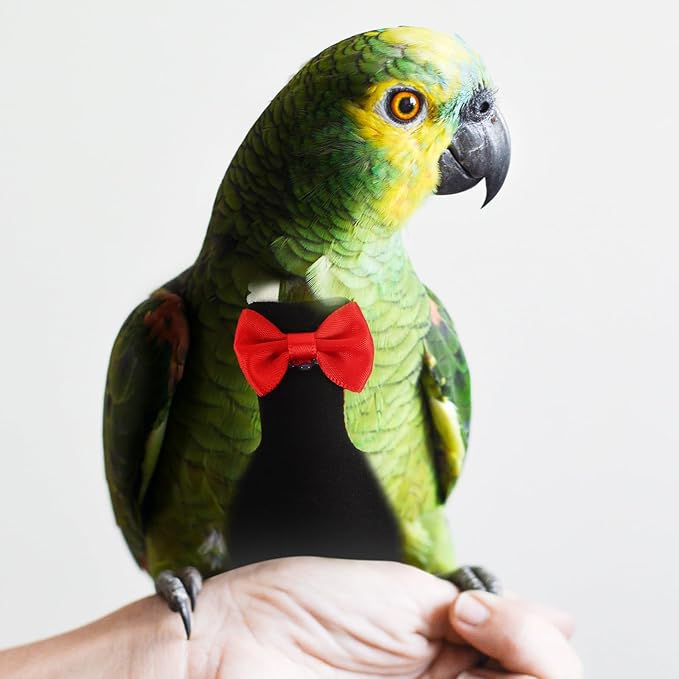 Balacoo Reusable Parrot Nappies Washable Bird Diaper Flight Suit with Bow Decor L Size African Pattern Outdoor Bird Clothes Random Color