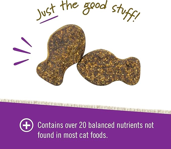 Pet Naturals Daily Multi Multivitamin Soft Chews for Cats, Vet Formulated with Biotin, Taurine, Calcium, and Arginine, Gentle Formula, Value Size, Fish, 160 Count
