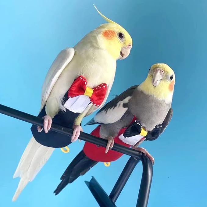 Bird Diaper Harness Flight Suit Clothes with Flying Leash for Parrots Cockatiel Pet Birds, Parrot Clothes, Bird Training Nappy Suit Liners Clothes (S, Black)