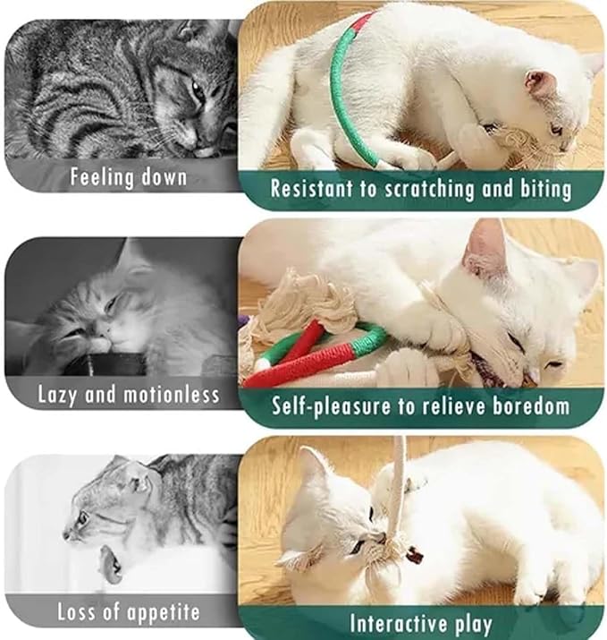 Catnip Chew Rope Toy – Natural, Safe Tooth Cleaner for Indoor Cats, 2026 New Cat Chew Rope, Catnip-Infused Organic Cotton Cat Chew Toys, Interactive Kitten Nip Toys & All Breeds (6PCS)