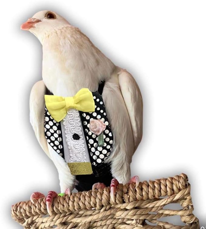 Bev's Bird Boutique Regular Flyper Adjustable Bird Diaper | Reusable, Washable Cloth | Comfort Fit for Parrot, Cockatiels, & Other Small Birds | Fashionable Avian Accessories, Retro Tux, Size 6