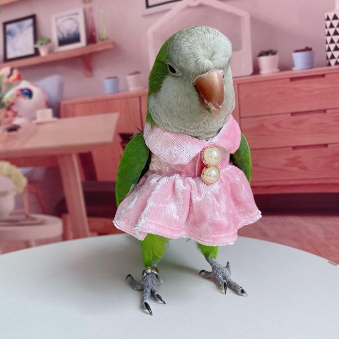 Bird Costume Bird Diaper Flight Suit Parrot Velvet Fleece Skirt Clothes Cosplay Photo Prop for Conure Lovebird Parakeet Cockatiel Macaw Small Animals Apparel (Pink,Medium)
