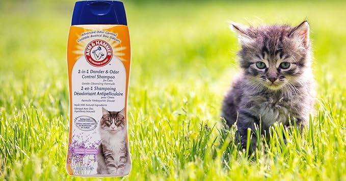 Arm & Hammer 2-in-1 Deodorizing & Dander Reducing Shampoo for Cats, Baking Soda Cat Shampoo for Dander, Odor Control and Coat Cleaning, Lavender Chamomile Scent, 20 Fl Oz - 6 Pack