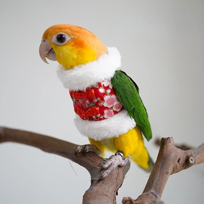Bird Costume Flight Suit Clothes Cosplay Photo Prop for Parrots Parakeet Cockatiel Sun Conure, Hoodie Small Animals Apparel (Red, Small), Green