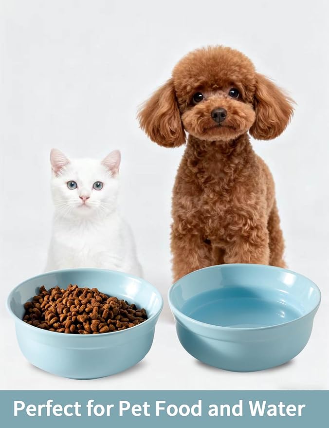 5.3 Inch Blue Ceramic Small Dog Bowl Sets - Porcelain Wide Mouth Cat Food or Water Bowls, Cute Feeding Bowls for Indoor Small Size Dog, for Wet or Dry Food